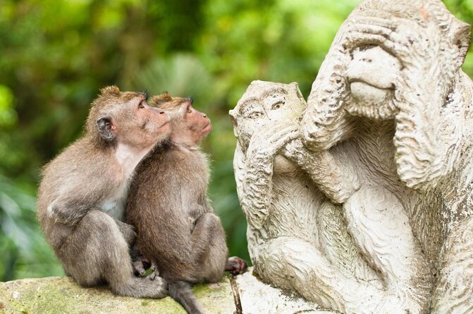 Ubud City Tour I: Monkey Forest, Ubud Palace, Art Market, and Waterfall - Key things to know before you go