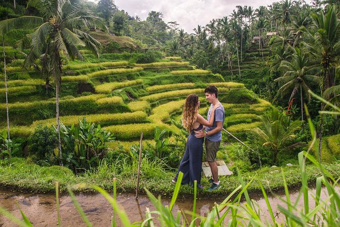 Ubud City Tour II: Monkey Forest, Palace, Art Market, and Rice Terrace - Sacred Monkey Forest Sanctuary: photos, temple paths, and macaque rules