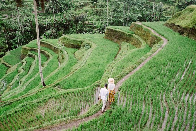 Ubud City Tour II: Monkey Forest, Palace, Art Market, and Rice Terrace - Tegalalang Rice Terrace: viewpoints, breezes, and optional trekking