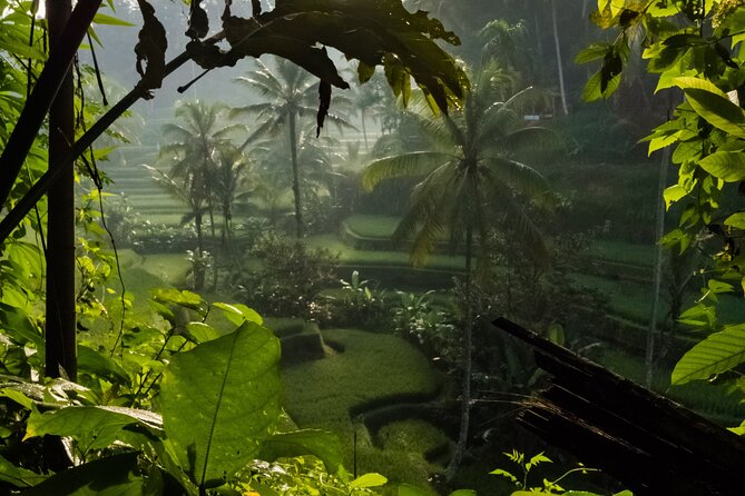 Ubud Day Tour - Top Things to do in Ubud + Local Ubud Guide - Celuk Village: gold and silver craft viewing with free entry