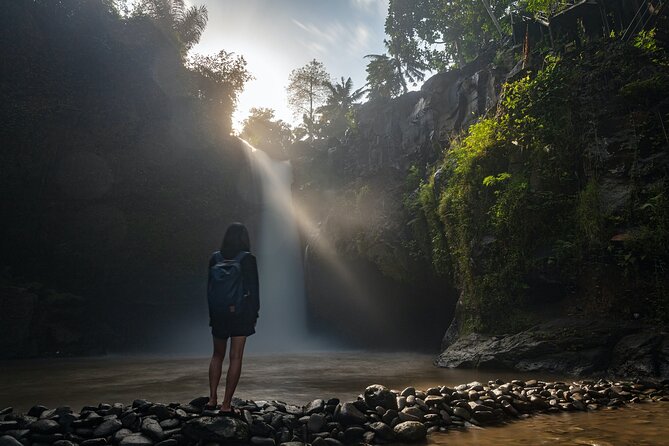 Ubud Day Tour - Top Things to do in Ubud + Local Ubud Guide - Sacred Monkey Forest Sanctuary: expect 12.5 hectares of mischief