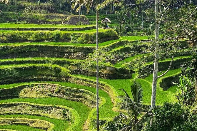 Ubud Day Tour : Waterfall, Temple and Local Night Market Tour - Tibumana Waterfall: your cool-air reset