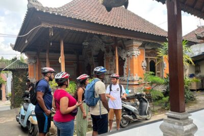 Ubud eBikes Tour to Tegallalang Rice Terrace - Price and What You Actually Get for $30.55