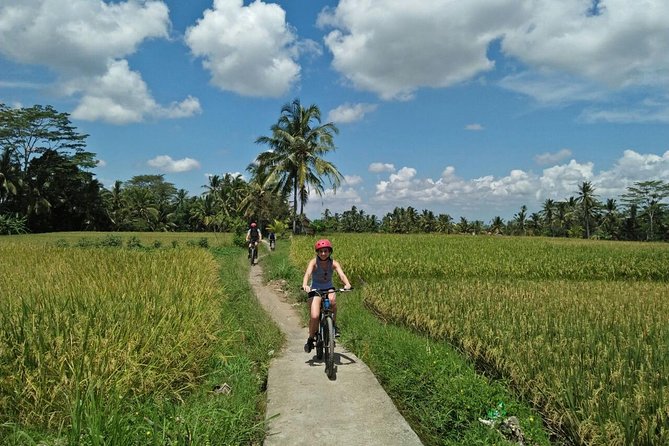 Ubud Eco Culture Cycling Exploration - Key highlights worth planning around