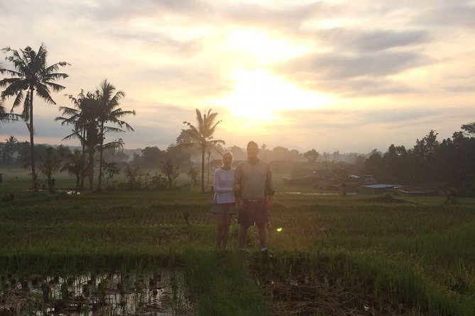 Ubud Eco Culture Cycling Exploration - Junjungan paddy fields: mostly downhill, bring your “easy legs” mindset