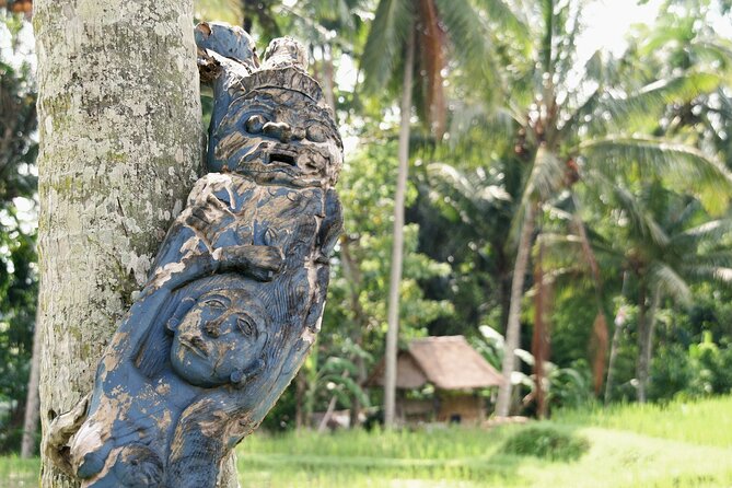 Ubud Explorer Private Day Tour - Price, Value, and What You’ll Still Need to Pay