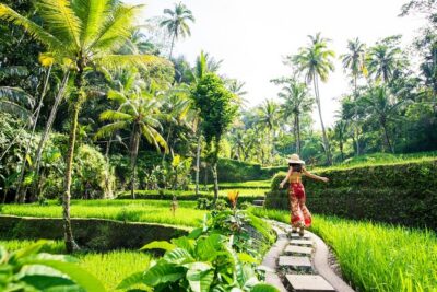 Ubud Full Day ATV Adventure with Rice Terrace and Temple Ritual - Price and value: what $85 covers (and why it matters)