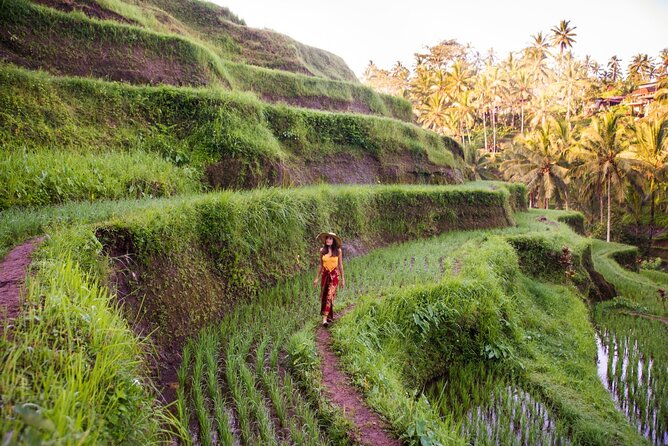 Ubud Full Day ATV Adventure with Rice Terrace and Temple Ritual - Stop 2: Tegalalang Rice Terrace in 60 minutes (Subak irrigation explained)