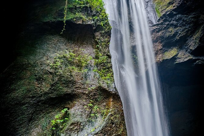 Ubud Hidden Gems Waterfalls and Private tour - Cantik Agriculture: Fruit Tasting and Practical Plant Information