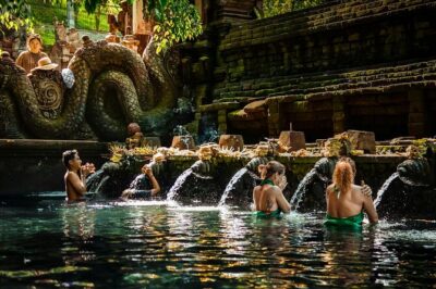Ubud Highlight: Best of Ubud Private Day Tour with Local Guide - Tegalalang rice terraces: iconic steps and the Subak irrigation lesson