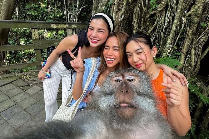 Ubud Highlight: Best of Ubud Private Day Tour with Local Guide - Transportation, timing, and what 8 hours feels like