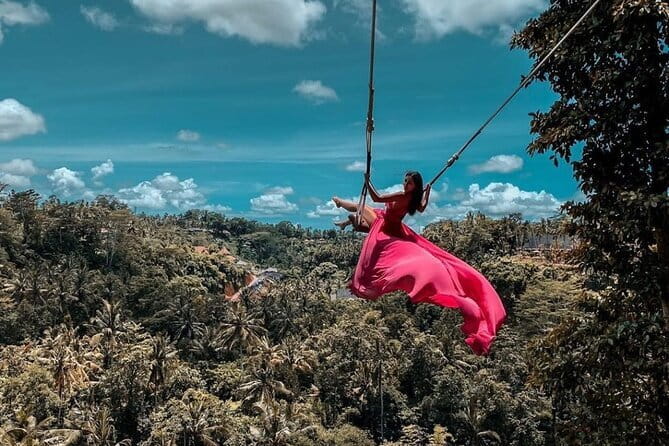 Ubud Highlight Private Charter with Jungle Swing - Key highlights you’ll actually care about