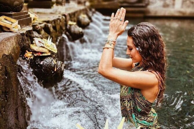 Ubud Highlight Private Charter with Jungle Swing - Who should book this Ubud highlights charter?