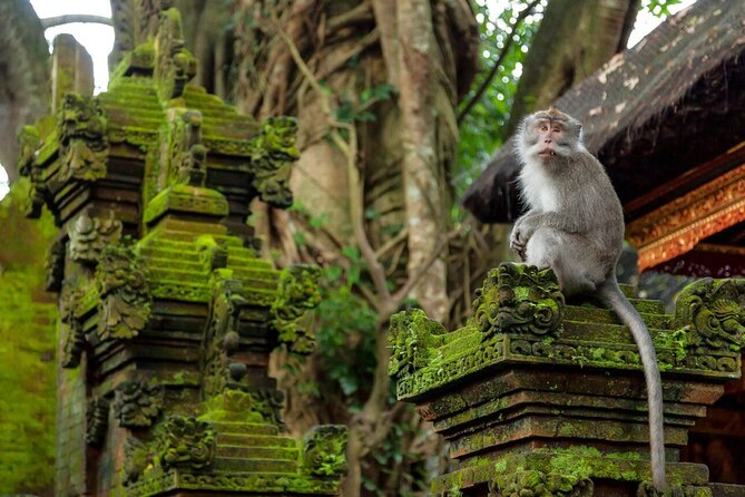 Ubud Highlights Rice Terraces, Temple, Waterfall & Monkeys forest - Ubud Art Market (and the palace area): culture you can touch