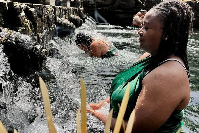 Ubud Highlights Shared Tour – Small Group Full-Day Experience - A small-group Ubud highlights day that feels like a plan