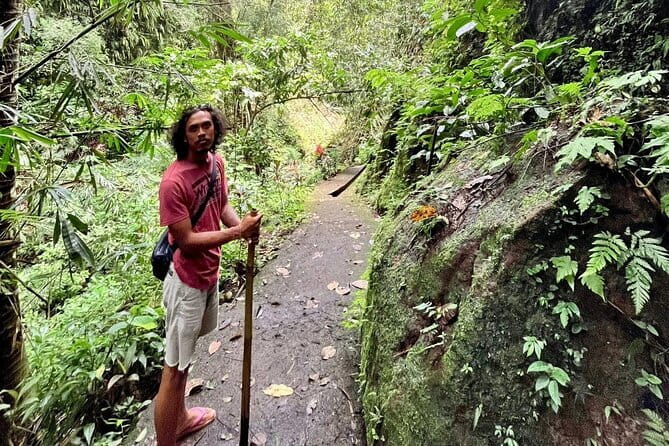 Ubud Highlights Shared Tour – Small Group Full-Day Experience - Your day’s rhythm: a full circuit, with time to walk