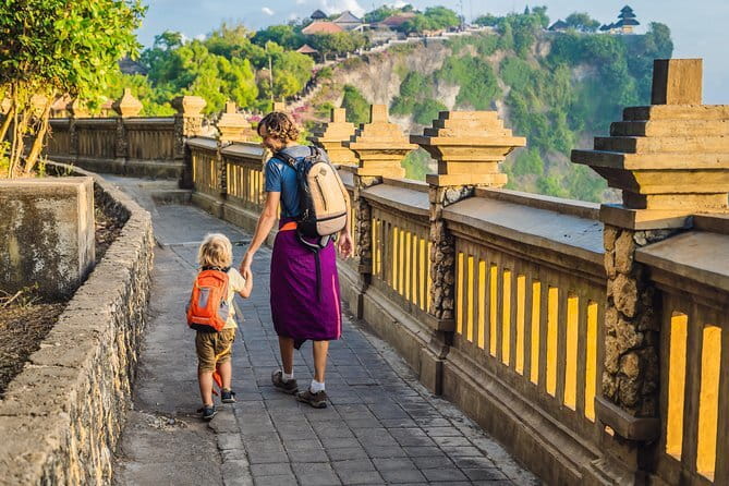 Ubud Highlights Shared Tour – Small Group Full-Day Experience - Tegalalang Rice Terrace: where you walk the irrigation story
