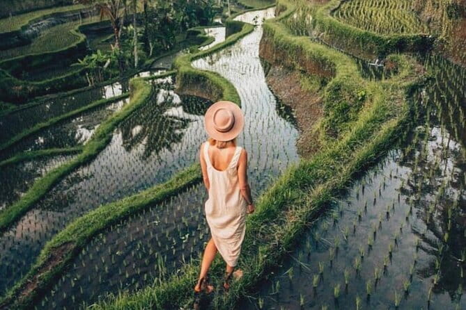 Ubud Highlights Shared Tour – Small Group Full-Day Experience - Price and what you actually get for $48.63