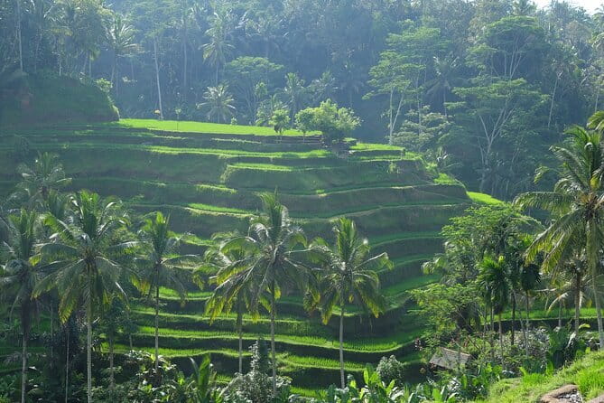 Ubud Highlights Tour ( Private All-Inclusive ) - Ubud Palace (Puri Saren Palace): Royal Grounds in Central Ubud
