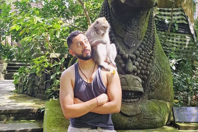 Ubud Higlights Full Day Tour - Private Tour Experience - Private transportation, pickup, and why it matters in Ubud
