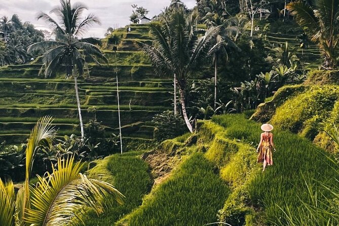 Ubud Higlights Full Day Tour - Private Tour Experience - Tirta Empul Temple: watching water purification up close
