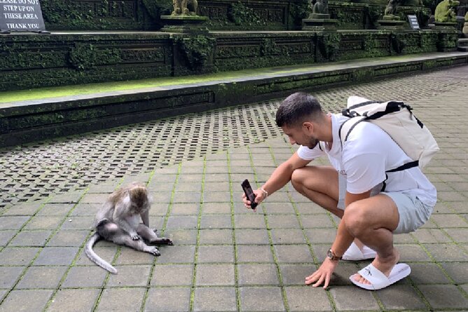 Ubud Higlights Full Day Tour - Private Tour Experience - How long is the day, and what pacing you should expect