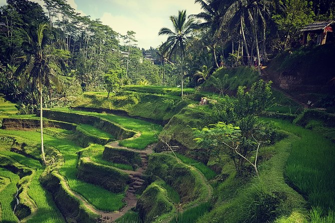 Ubud iconic waterfall and temple tours - Why This Ubud “Iconic Sights” Route Works So Well