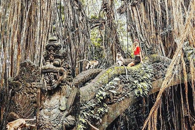 Ubud iconic waterfall and temple tours - Guide Quality: The Real Difference Maker