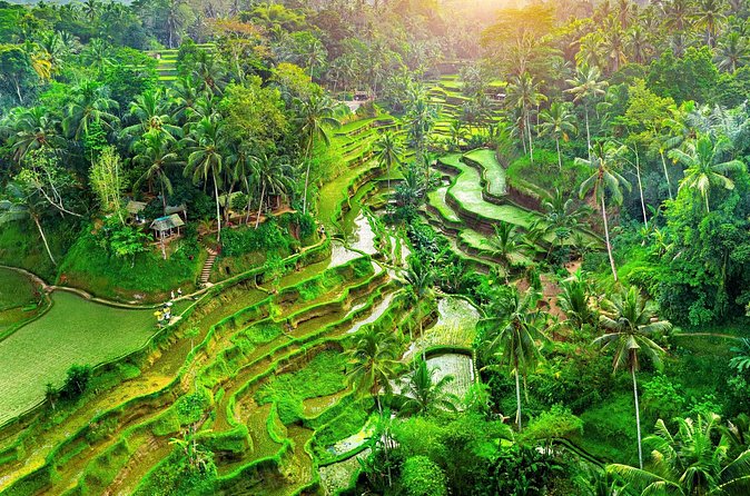 Ubud Jungle Adventure: Tirta Empul & Bali Swing - Tirta Empul Temple (Holy Spring Temple): The Purification Ritual at the Sacred Spring