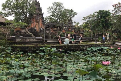 Ubud Jungle Cart Adventure + Volcano view Tour. - Mount Batur View Stop: Volcano Drama Without the Whole-Day Commitment