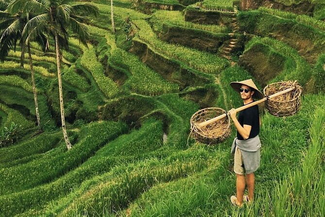 Ubud Jungle Swing - Monkey Forest - Water Temple - Waterfall - Key highlights worth your time