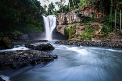 Ubud Jungle Swing - Monkey Forest - Water Temple - Waterfall - Sacred Monkey Forest Sanctuary: nature you can watch, not just photograph