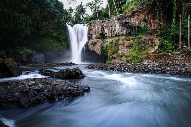 Ubud Jungle Swing - Monkey Forest - Water Temple - Waterfall - Sacred Monkey Forest Sanctuary: nature you can watch, not just photograph