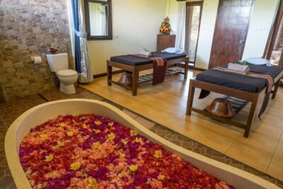 Ubud Luxury Bali Spa Package with amidst rice fields - What Happens During the Rice-Field Cleansing Ritual