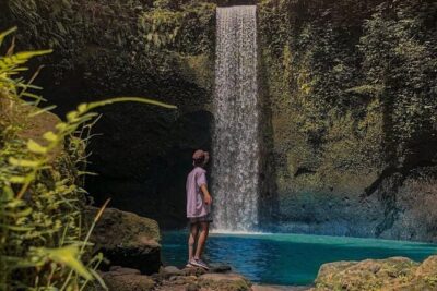 Ubud Monkey Forest, Holy Water Temple & Waterfalls Tours - Price and what you really get for $33.25