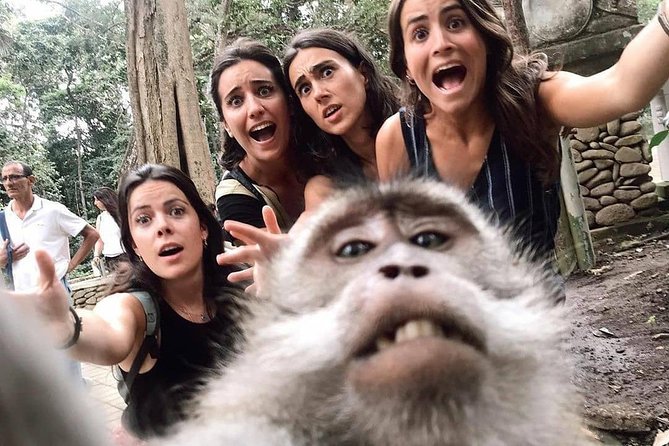 Ubud Monkey Forest, Holy Water Temple & Waterfalls Tours - Stop 2: Tegalalang Rice Terrace and learning the irrigation story
