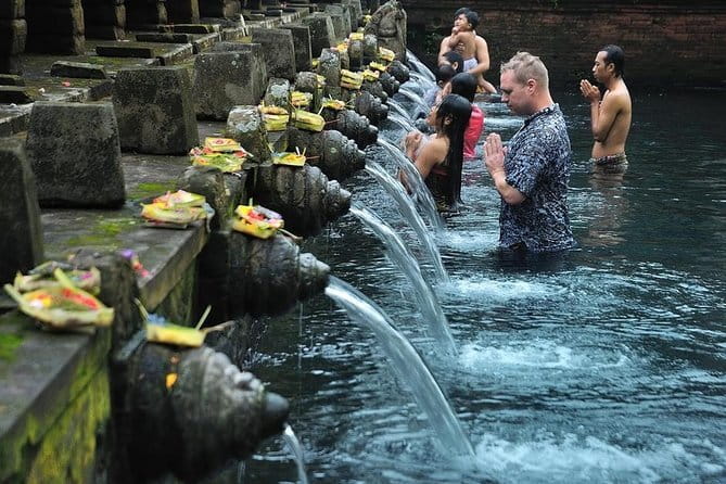 Ubud Monkey Forest Rice Terrace Temple Waterfall Private Tour - Tirta Empul Temple: Sacred Water That Feels Personal