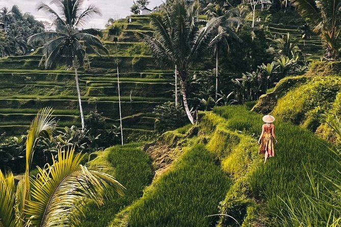 Ubud Monkey Forest, Rice Terrace & Tirta Empul Temple Tour - Key things to know before you go