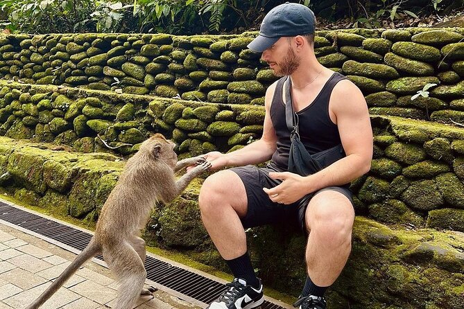 Ubud Monkey Forest, Rice Terrace & Tirta Empul Temple Tour - Why This Ubud Tour Feels Like Good Value