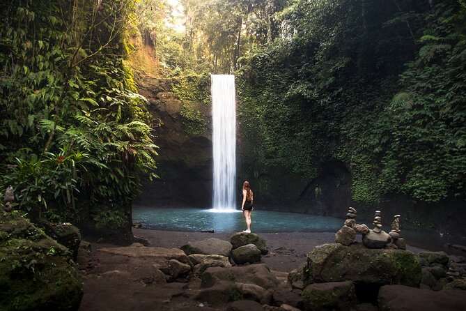 Ubud : Monkey Forest, Rice Terrace, Waterfall, Swing - Key Highlights Worth Noticing