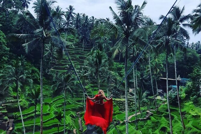 Ubud : Monkey Forest, Rice Terrace, Waterfall, Swing - Ubud in One Long Day: What an 8-Hour Route Feels Like