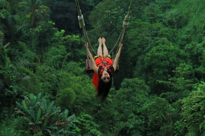 Ubud: Monkey Forest, Rice Terraces and Jungle Swing Tour - Sacred Monkey Forest Sanctuary: 12.5 Hectares of Long-Tailed Macaques