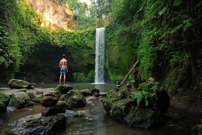 Ubud: Monkey Forest, Rice Terraces and Jungle Swing Tour - Tegalalang Rice Terraces: Traditional Farming Views You Can Walk Into