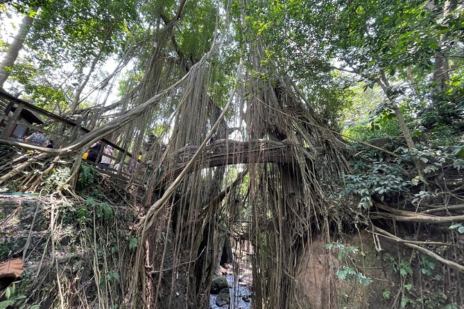 Ubud Monkey Forest Sanctuary Entrance Ticket All Inclusive - Monkey photos and the optional monkey selfie add-on