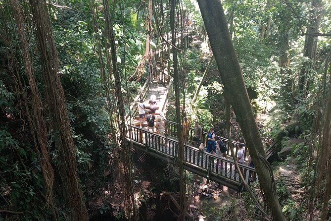 Ubud Monkey Forest Sanctuary Entrance Ticket All Inclusive - Price and value: what $36.67 covers in the real world