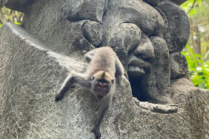Ubud Monkey Forest Sanctuary Entrance Ticket All Inclusive - Door-to-door pickup and return: easy on paper, real in traffic