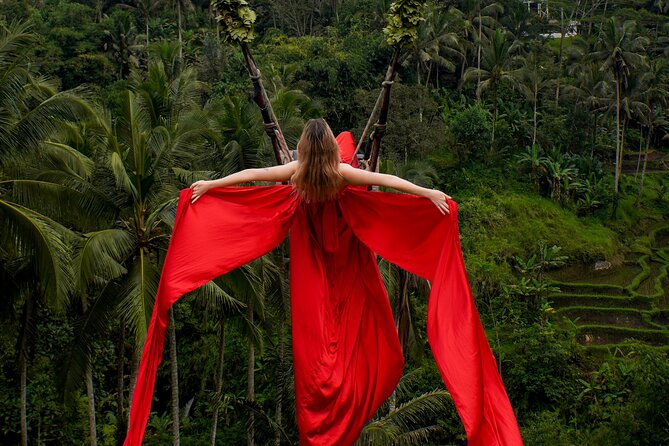 Ubud Monkey Forest, Scenic Rice Terrace with Swing and Waterfall - How this Ubud tour earns its value (and when it doesn’t)
