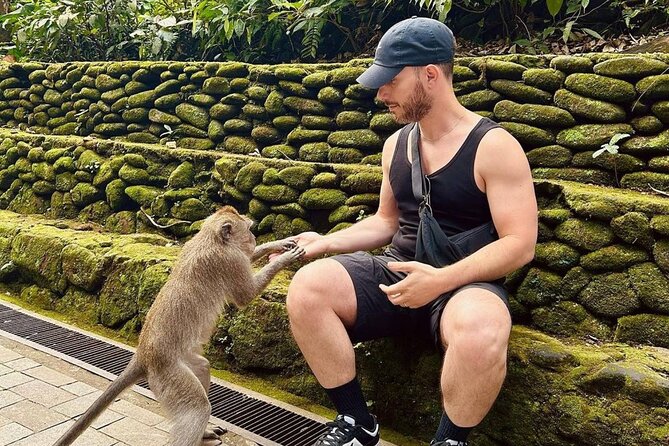 Ubud Monkey Forest, Scenic Rice Terrace with Swing and Waterfall - Lunch, snacks, and local food stops: what’s actually included