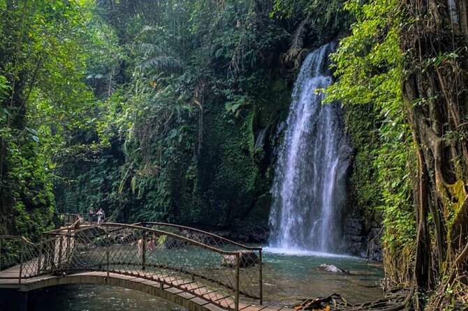 Ubud Private Chasing Waterfall and Water Temple Tour - Key things I’d watch for