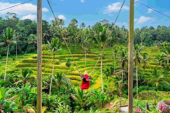 Ubud Private Chasing Waterfall and Water Temple Tour - Ubud Sari Coffee Luwak: what the tasting stop is really for
